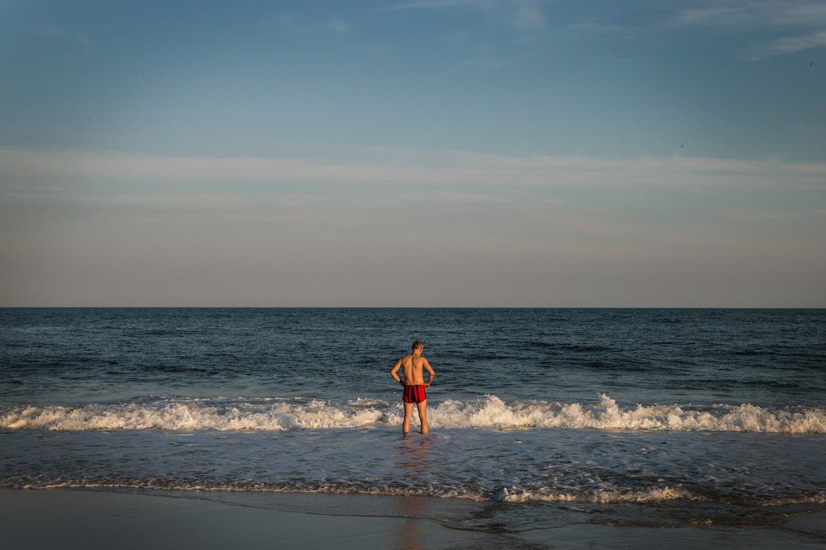 Swimmers ordered out of water after shark bites surfer at Long Island beach