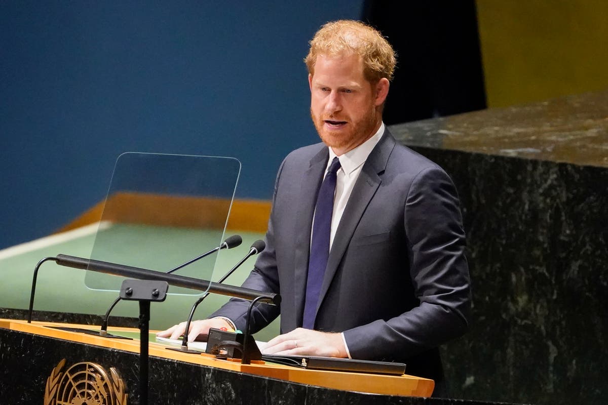 Prince Harry condemns the ‘rolling back of constitutional rights’ in UN speech