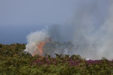 Wildfires break out across UK as record heatwave rages