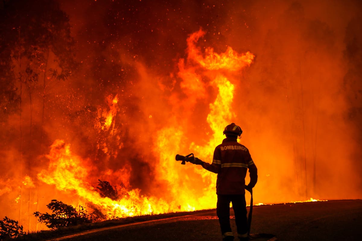 Everywhere is on fire. Here’s why the climate crisis is to blame