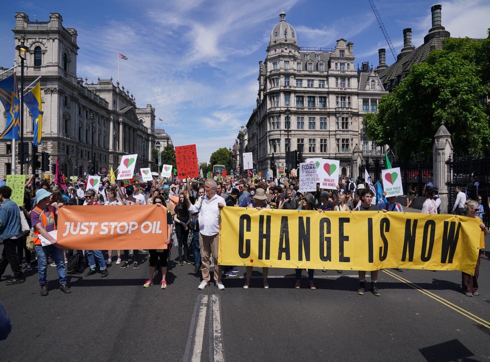 Environmental groups take part in a mass protest in Parliament Square (Jonathan Brady/PA)