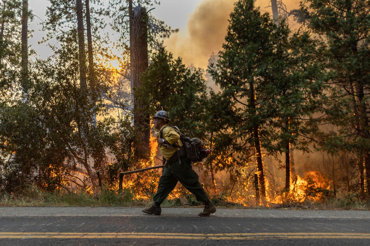 California wildfire burns nearly 12,000 acres as it reaches Sierra National Forest