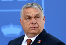 Hungary's leader rebuked for opposing 'mixed race' society