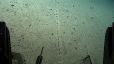 Scientists find mysterious ‘perfectly aligned’ holes on Atlantic ocean floor