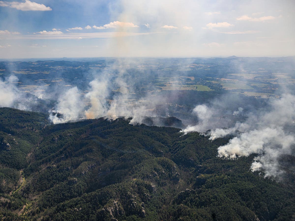 Hundreds evacuated as wildfire ravages national park on German-Czech border