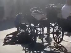 マヨルカの観光客を40℃の暑さで引っ張っている間に馬が倒れる