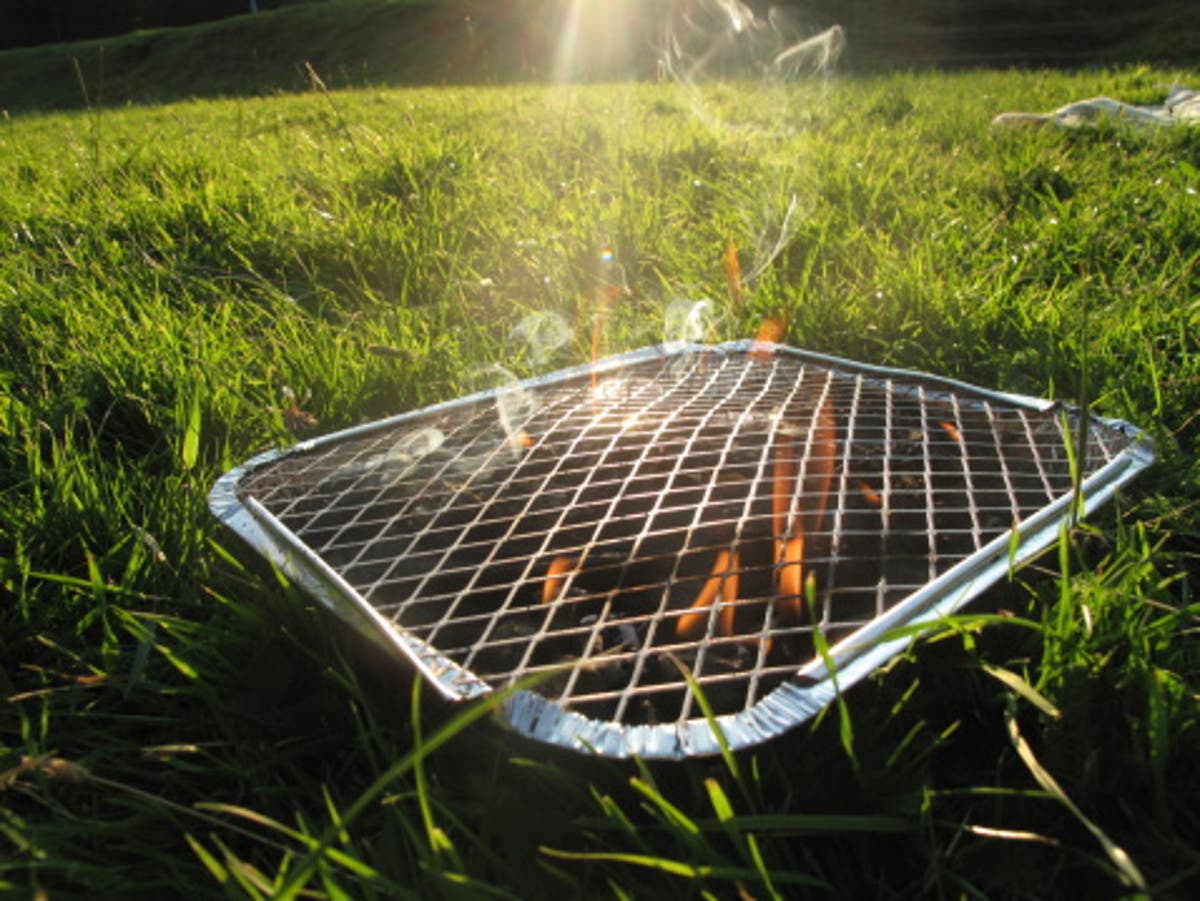 Two men charged with arson after disposable barbecue started fire in country park