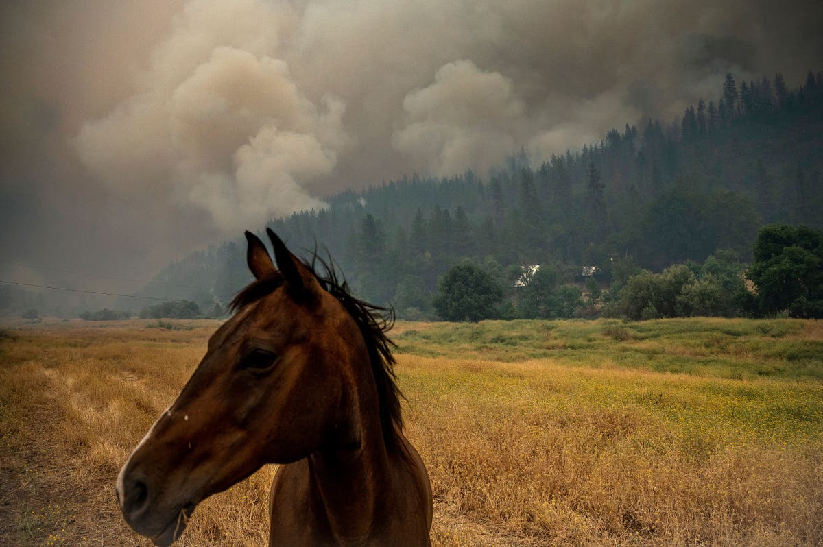 Heat, wind threaten to whip up growing Western wildfires