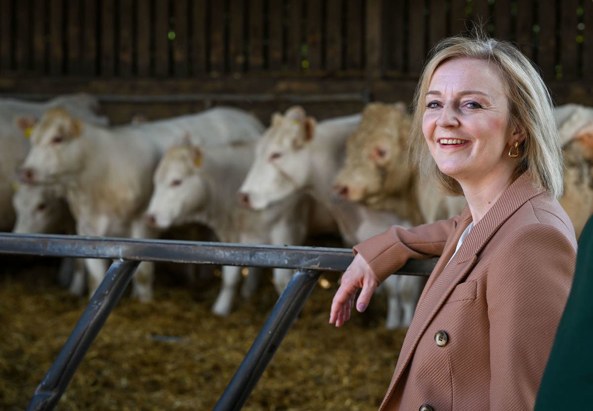Liz Truss plan means lower pay for public service workers in poorer areas