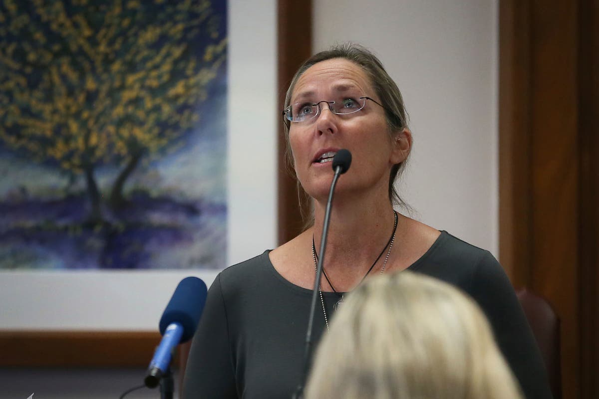 Mother of Sandy Hook victim’s testimony offers powerful condemnation of Alex Jones