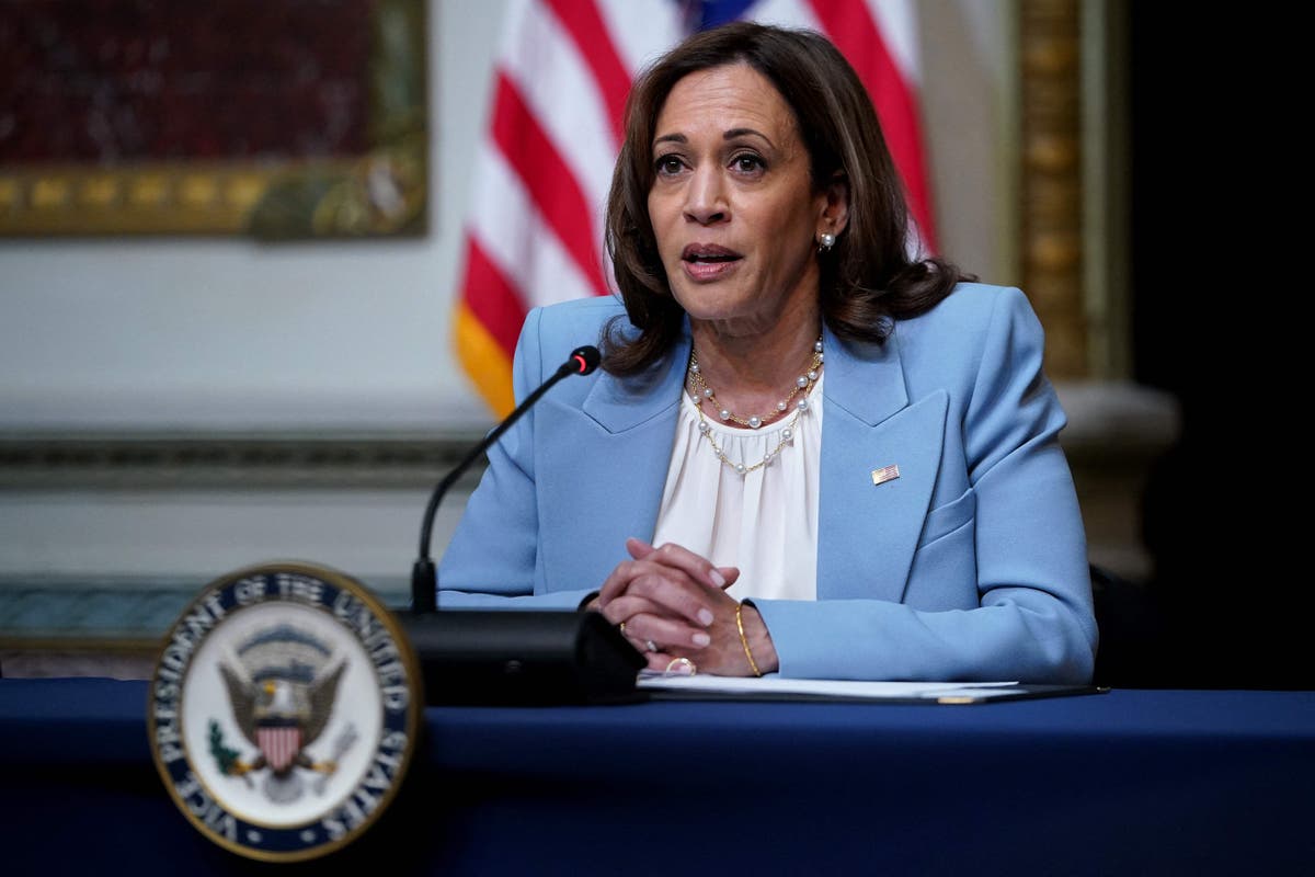 Republican trips up on basic anatomy while trying to attack Kamala Harris on abortion