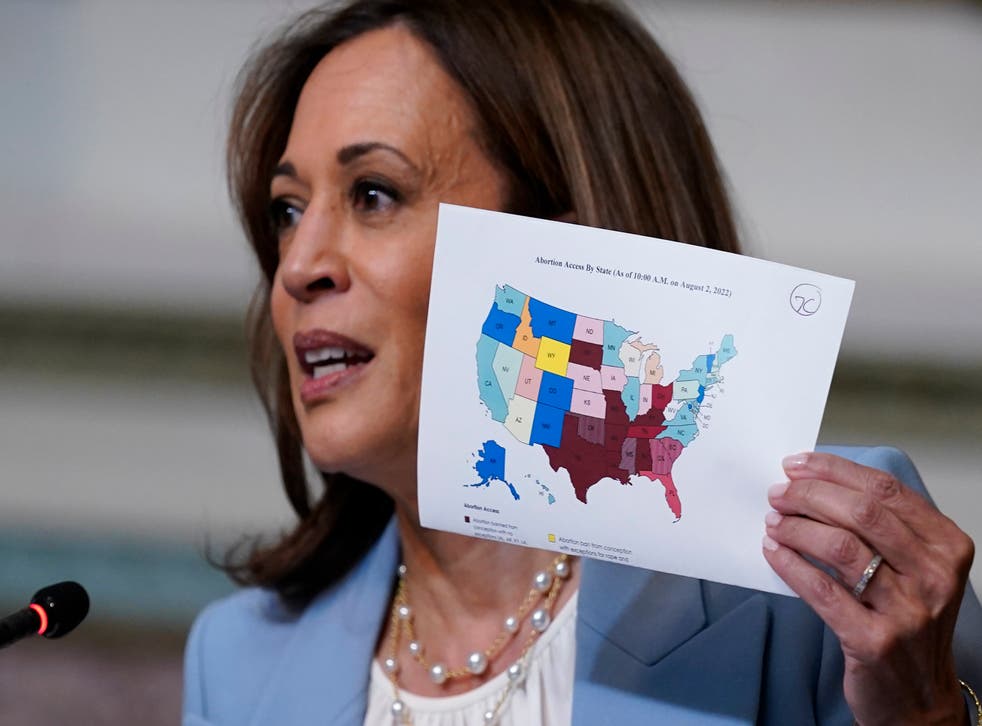 <p>Vice President Kamala Harris displays a map during a briefing on abortion rights to show the fractured state of legal abortion care in the US.</s>