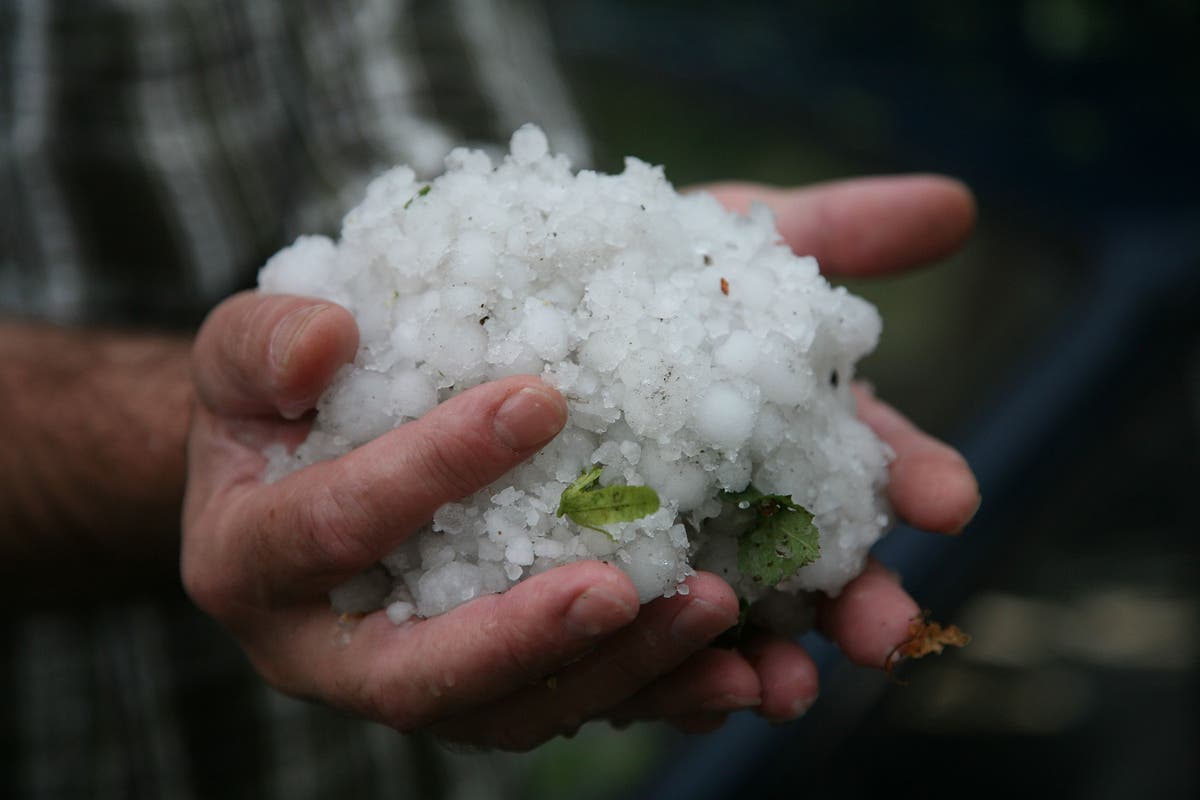 Canada hailstorm unleashes ‘record-breaking stone’ the size of a DVD
