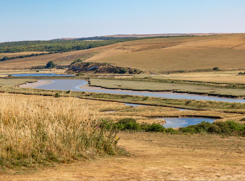 <p>The Cuckmere River in East Sussex. The region is subject to a hosepipe ban</p>