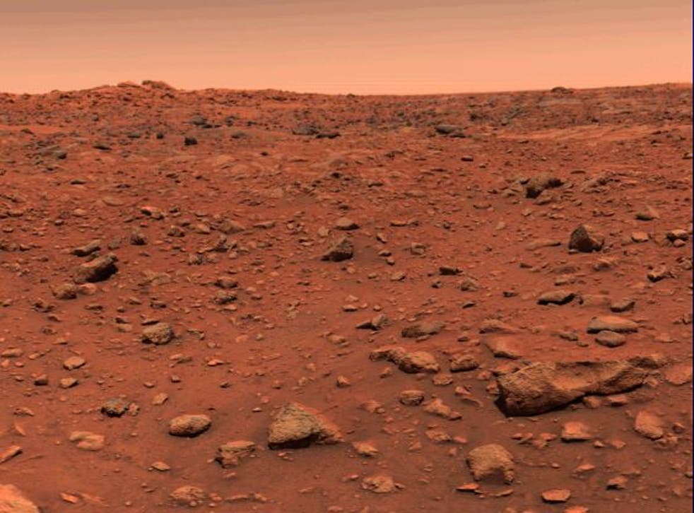 <p>The surface of Mars as photographed by the Viking 1 lander. </p>