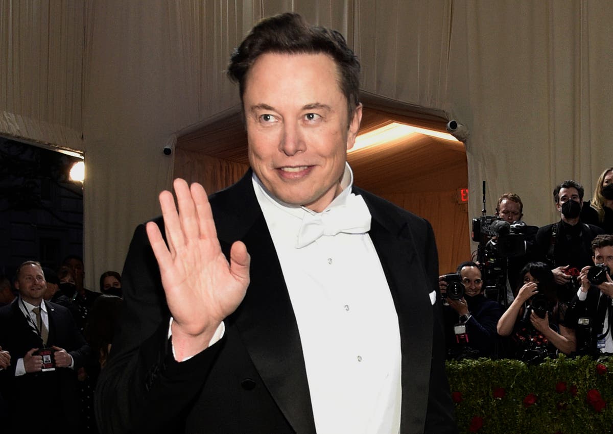 Elon Musk hints he could launch his own social network