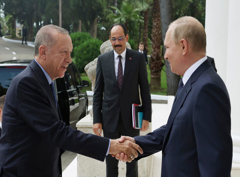 <p>Russian president Vladimir Putin and Turkish president Recep Tayyip Erdogan </p>
