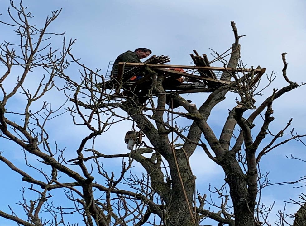 Brian Towers building a nest platform on Bolton Castle Estate (Mike Thornley/PA)