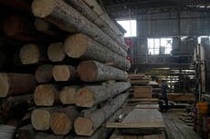 Hong Kong's last sawmill faces closure amid development plan