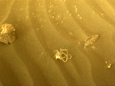 Nasa identifies strange debris found on Mars