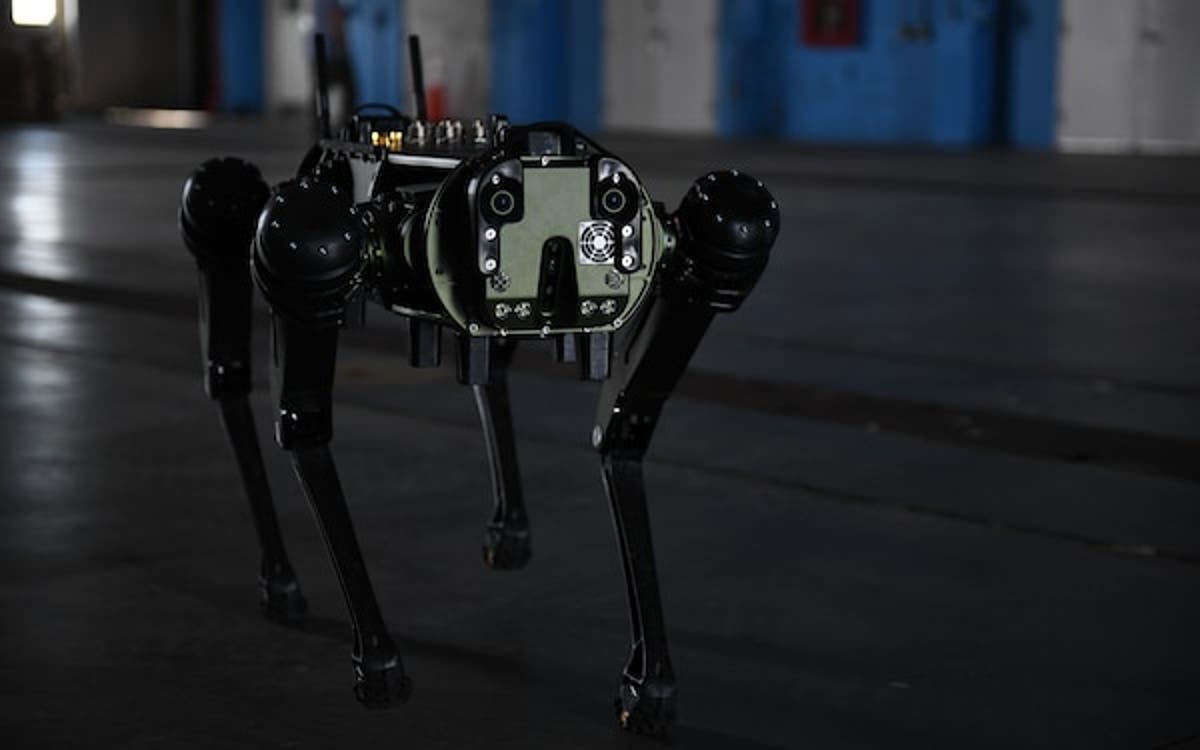 L'US Space Force envoie des chiens robots dans un port de patrouille