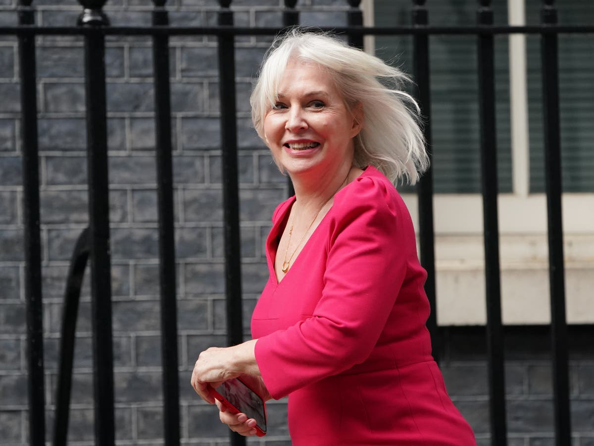Nadine Dorries waging ‘terrorist campaign’ against Partygate inquiry, dit le député conservateur