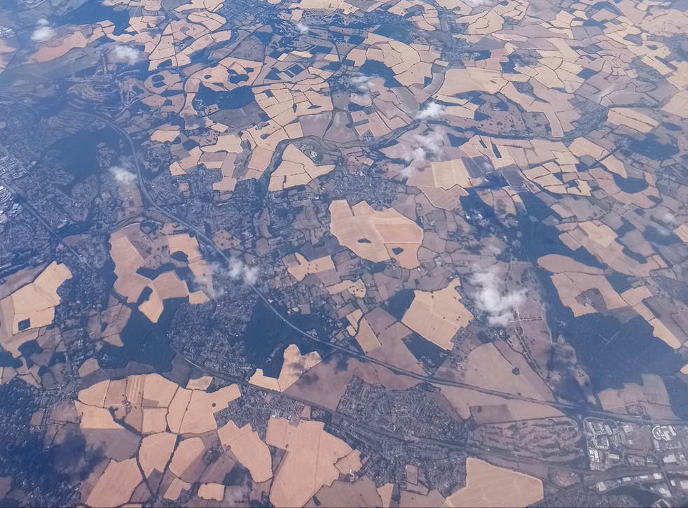 <p>View of parched fields north of London seen from a flight after leaving Gatwick</s>