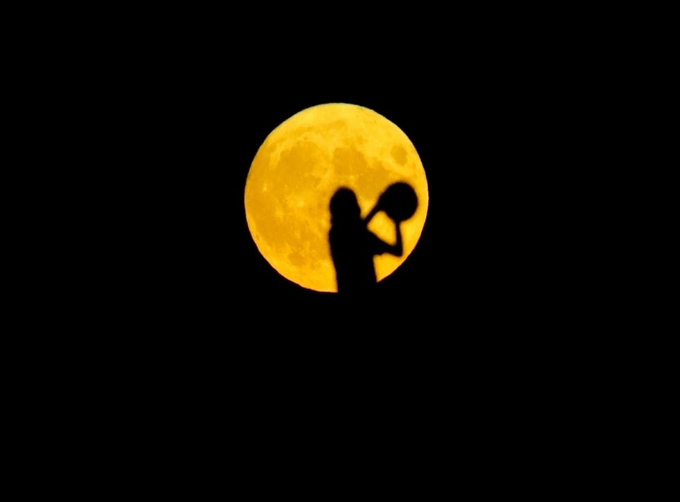 A person plays with a ball as the Sturgeon supermoon rises over a hill in Ealing, 西ロンドン (Victoria Jones/PA)