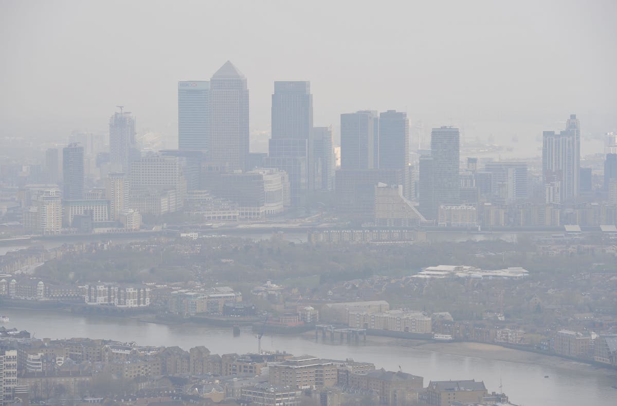 Even low levels of air pollution can damage health, programas de estudo