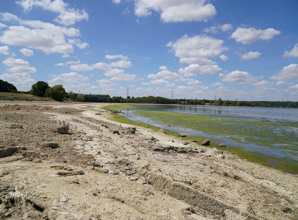 Dry earth on the banks of Grafham Water near Huntingdon in Cambridgeshire, where water is receding during the drought (PA/ Joe Giddens)