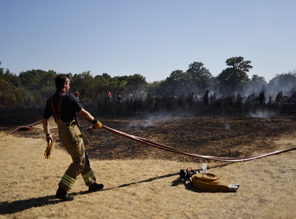<p>Firefighters have been tackling wildfires due to the extremely dry conditions  </bl>