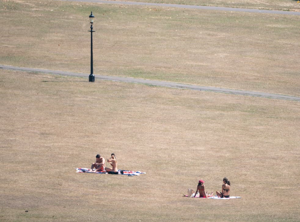 People sit on the dry grass of Primrose Hill, ロンドン北部 (ドミニク・リピンスキー/PA)