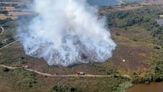 Incêndio em Dorset continua a devastar Studland enquanto churrasco descartável confirmado como fonte 