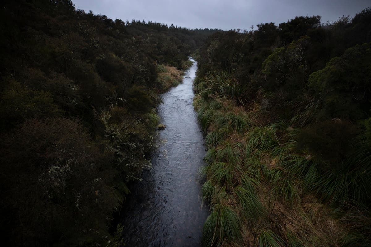 Whanganui River 'always makes things better for me'
