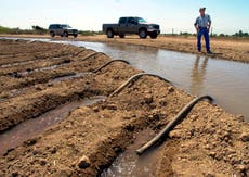干ばつに見舞われた州が水の使用を削減する期限が迫っている