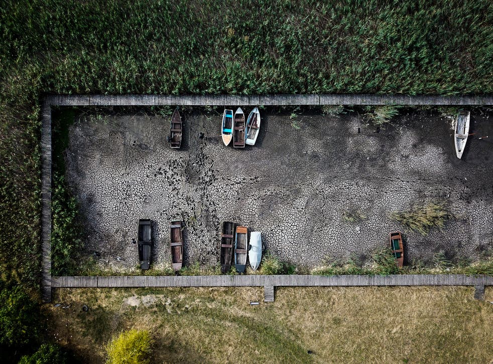 <p>Boats lay on the dried lake bed in a port in Velence, Hungary last week</s>