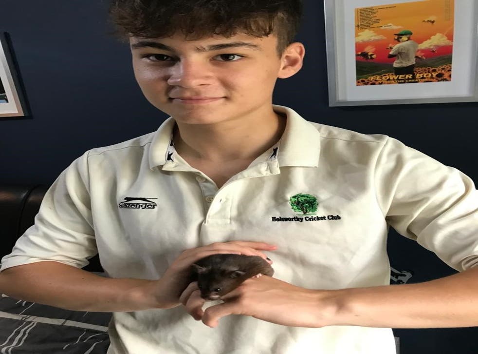 Tyler com seu hamster de estimação Gerbus (Steve Ivey/PA)