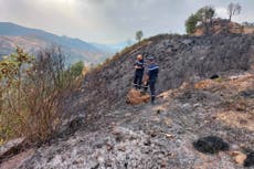 至少 26 killed in forest fires in Algeria