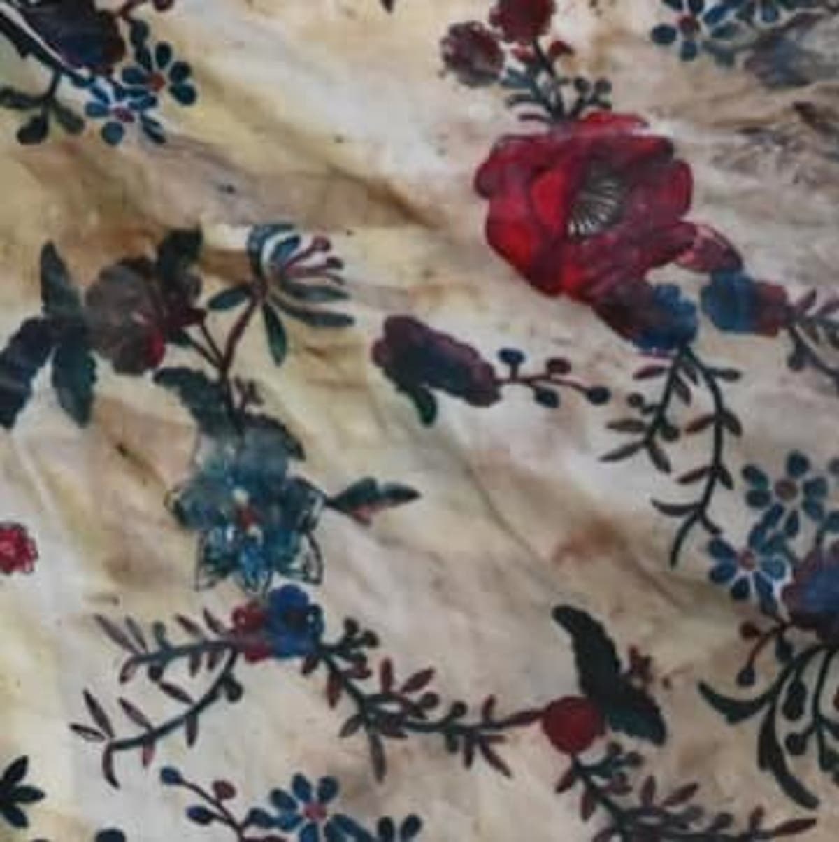 Three suitcases carrying woman’s remains found on a Florida beach Three suitcases carrying woman’s remains found on a Florida beach