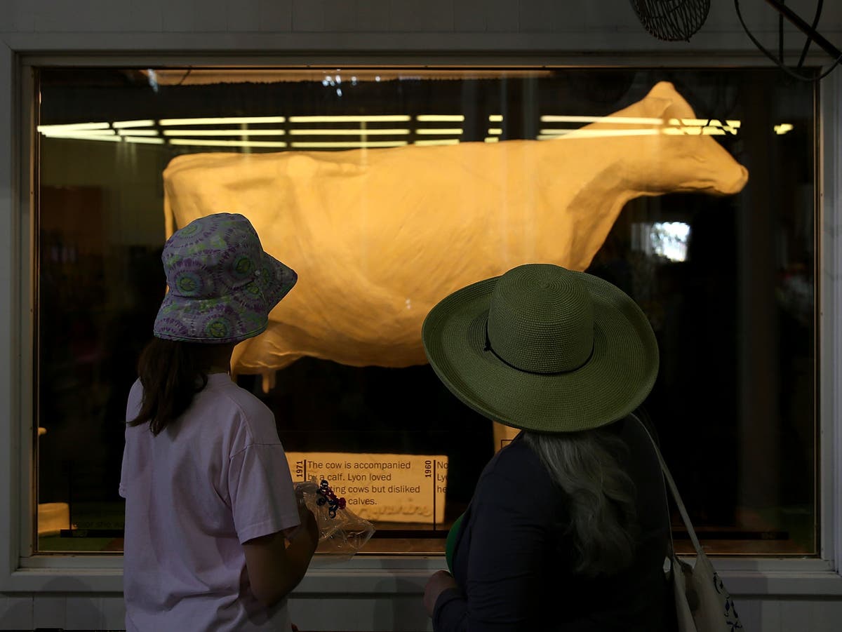Illinois State Fair shockingly reveals butter cow wasn’t made of butter Illinois State Fair shockingly reveals butter cow wasn’t made of butter