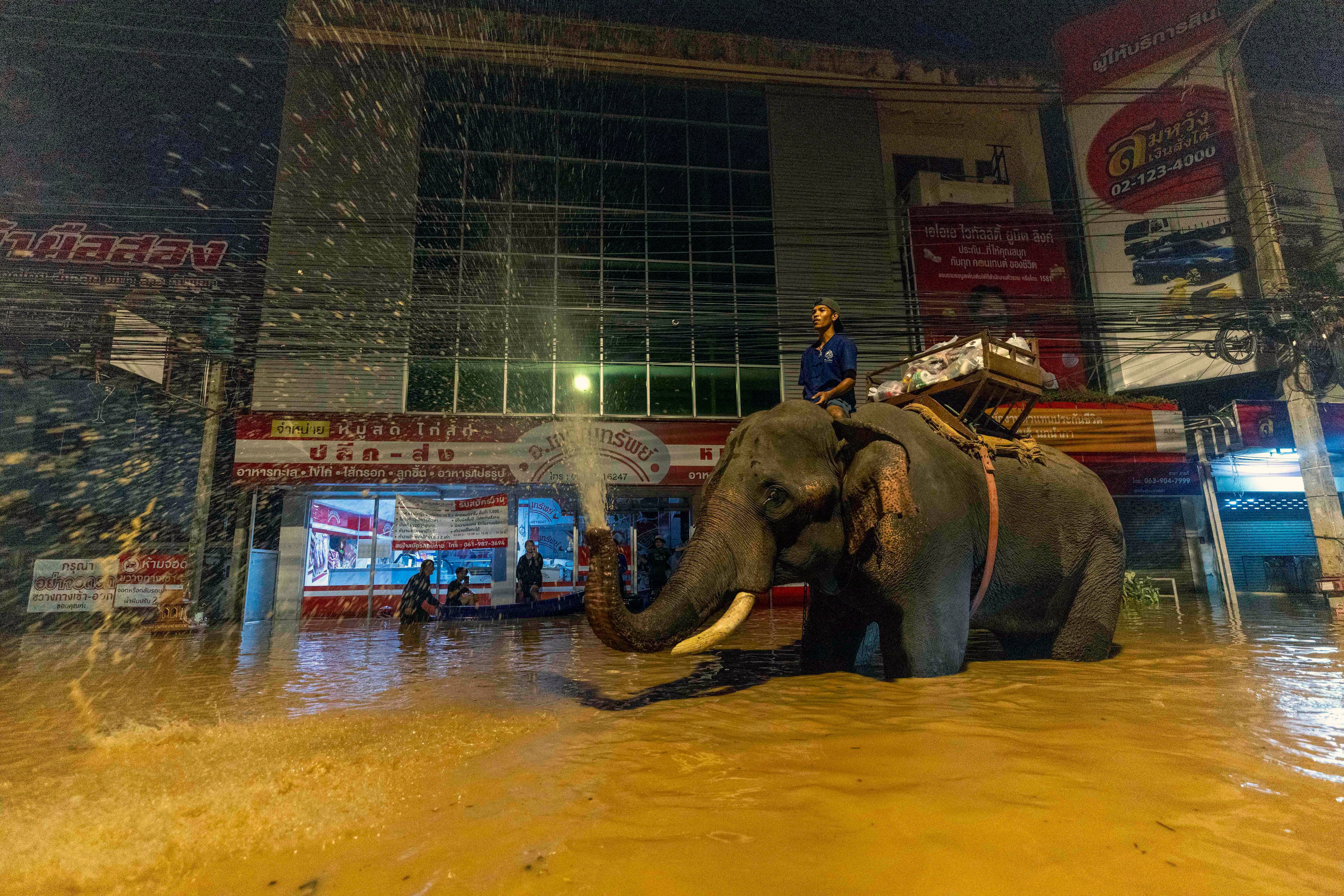 Elephants and tourists rescued as extreme flooding hits popular Thai city