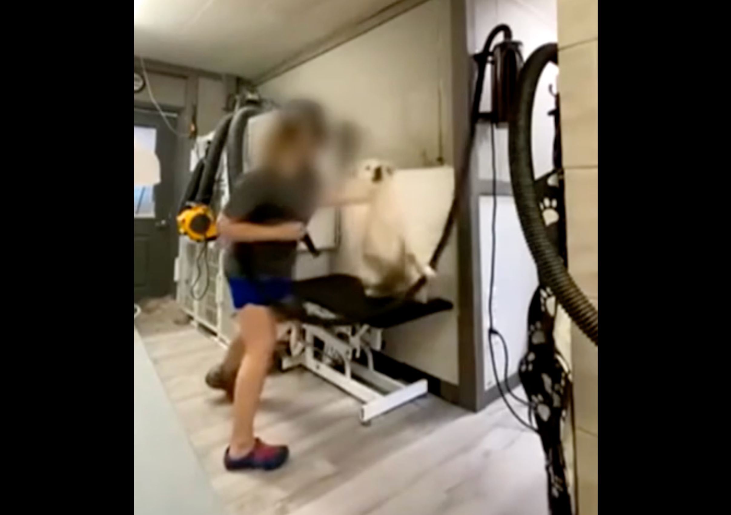 The video, captured by a concerned coworker, depicted the employee – who police later identified as Taylor – ‘repeatedly striking and mishandling dogs during grooming sessions,’ according to the sheriff’s office