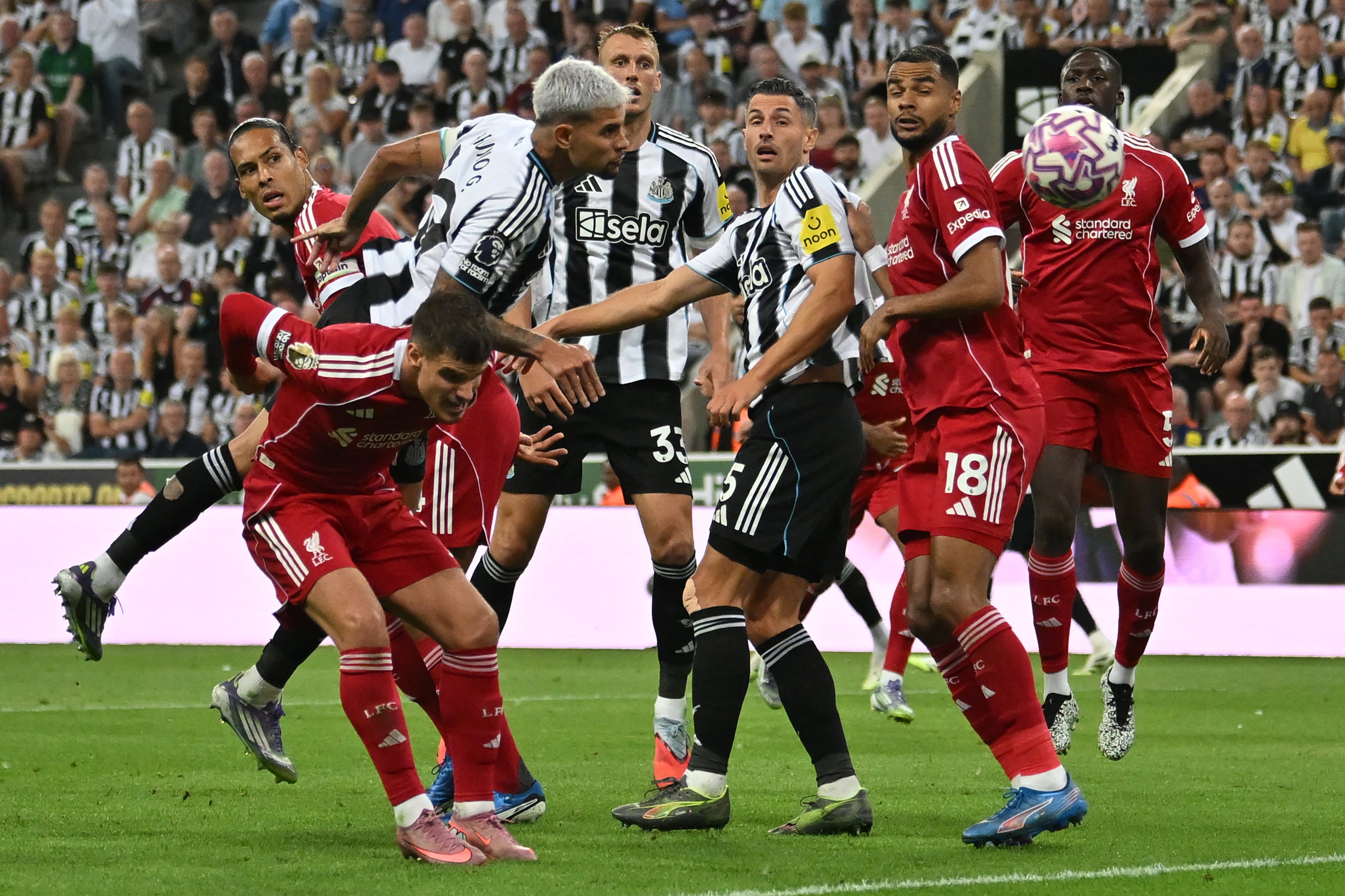 Bruno Guimaraes headed Newcastle back into the contest