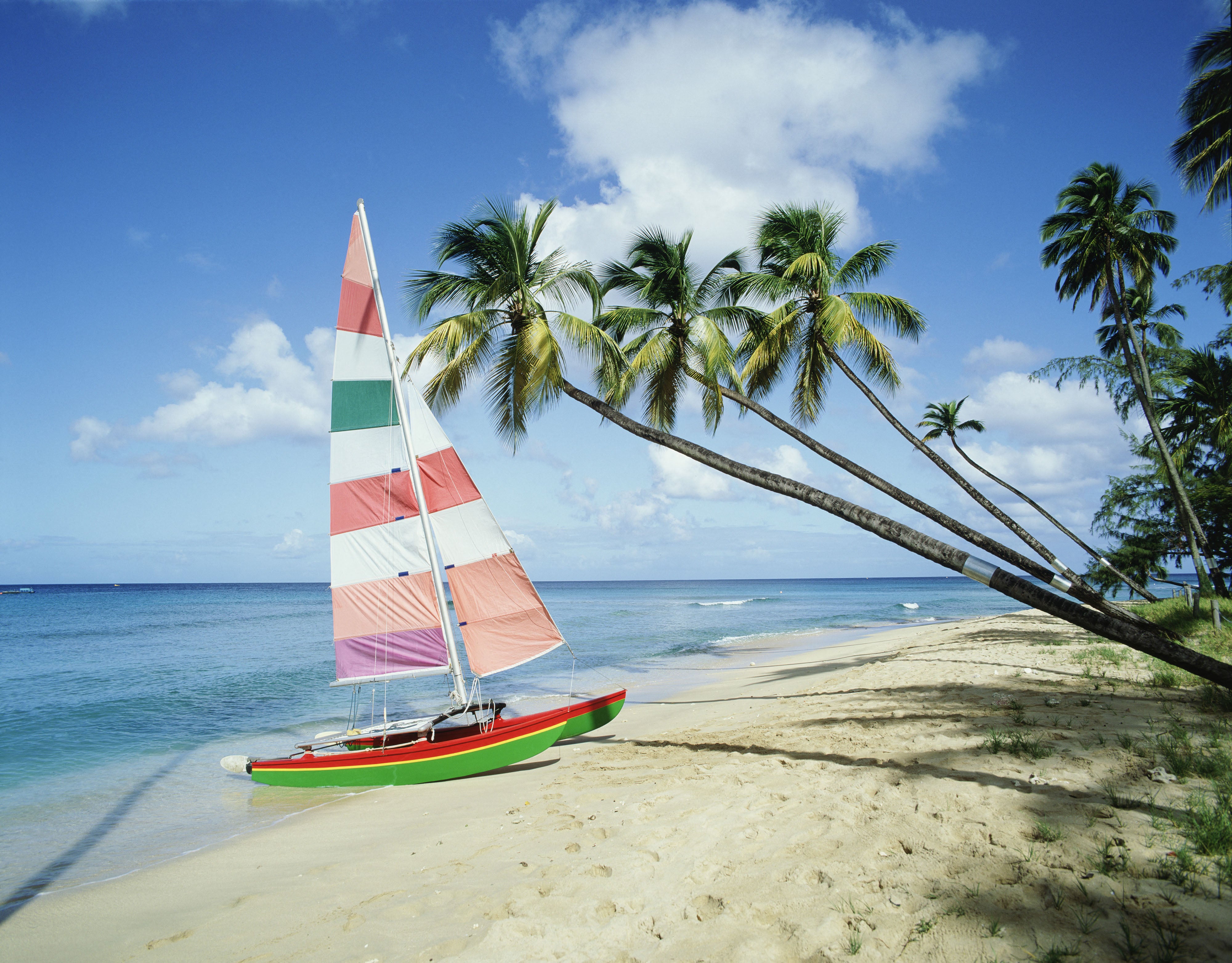 Barbados in full swing: a summer of sun, sea and celebrations