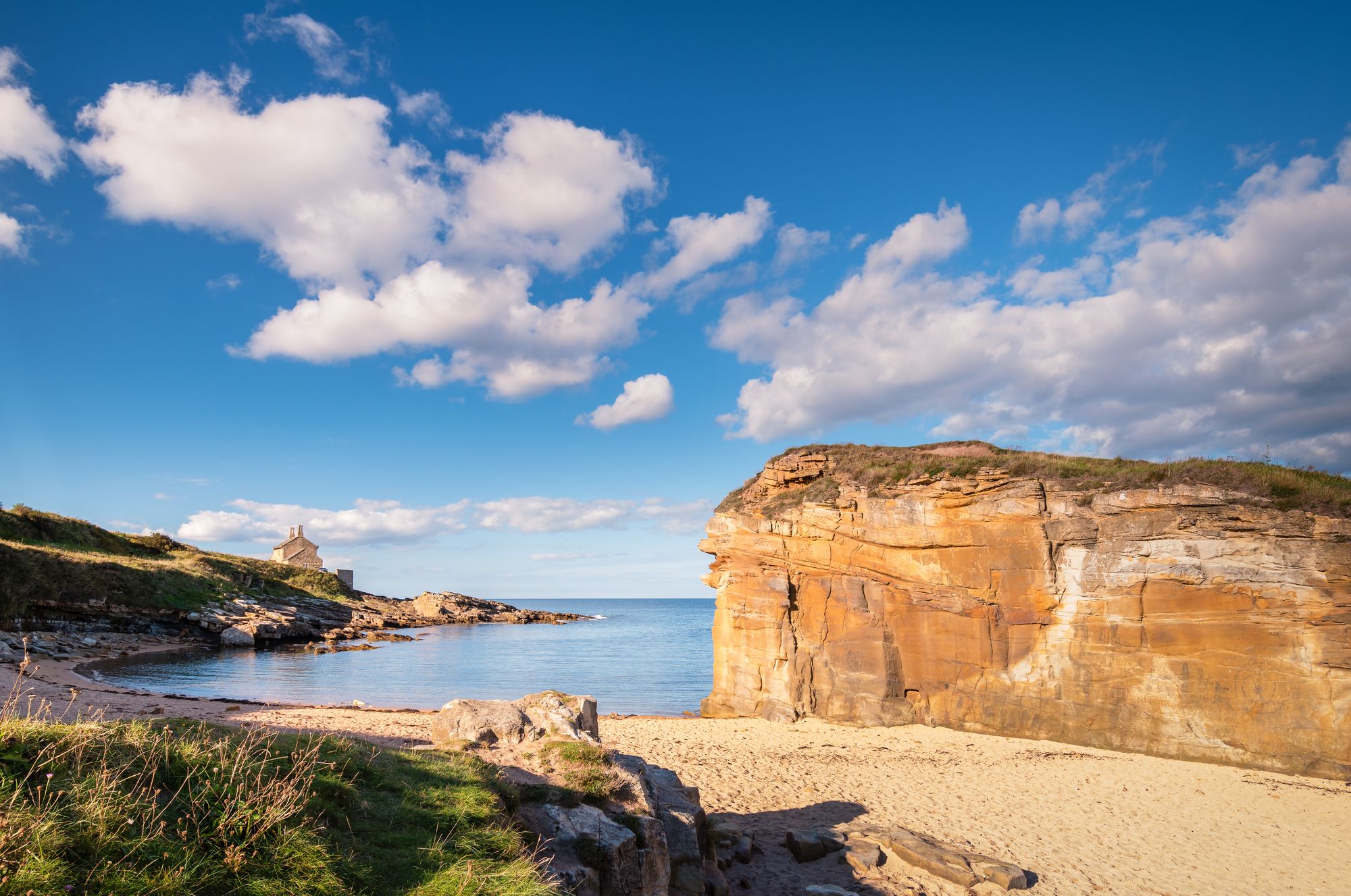 My perfect Mother’s Day: Exploring the Northumberland Coast Path and a world&famous bookshop