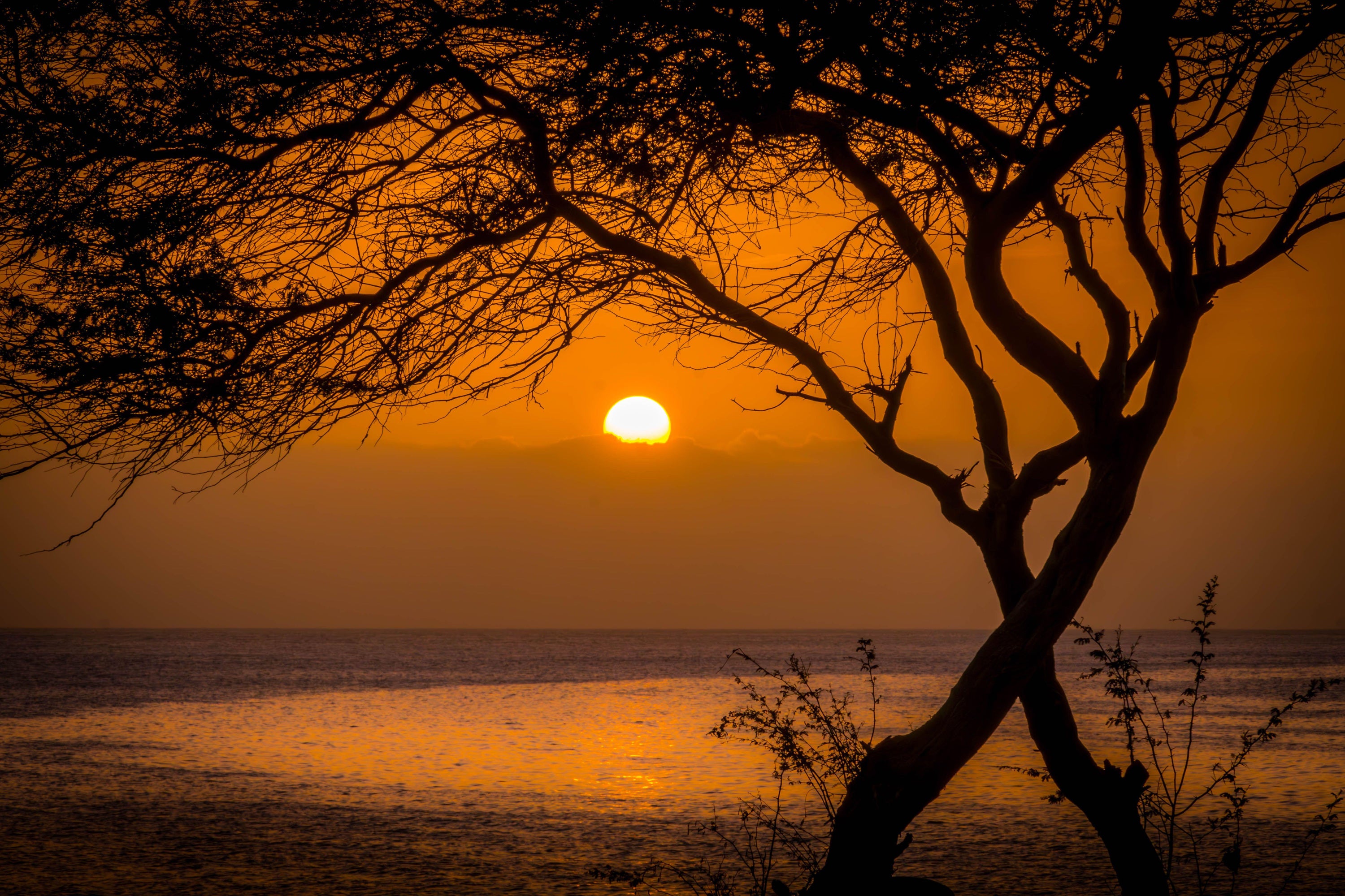 How to save money on your summer travel this year, according to experts