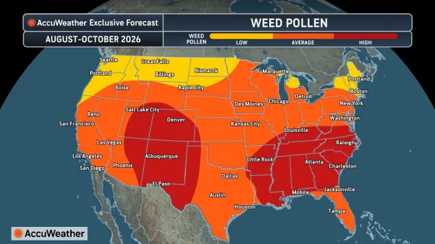 This AccuWeather graphic shows where weed pollen levels will be the highest this fall. The highest levels are seen in red, moderate levels in orange and lower levels in yellow. Ragweed pollen is the biggest culprit of fall allergies