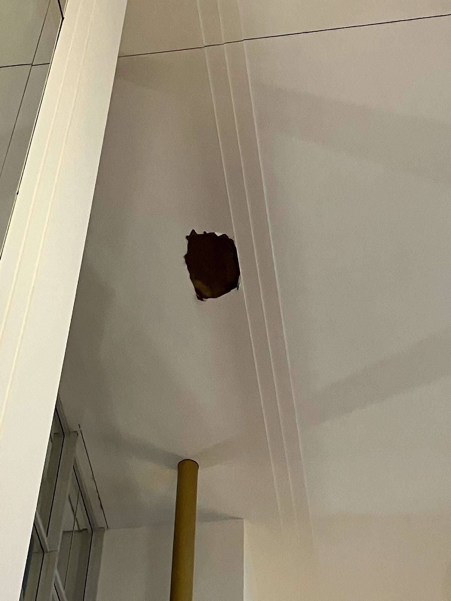 'Another warning we can’t ignore,' the Kennedy Center said in a statement. 'A section of the Grand Foyer ceiling collapsed after this week’s storms. Thankfully no one was hurt. Decades of deferred maintenance made this inevitable'