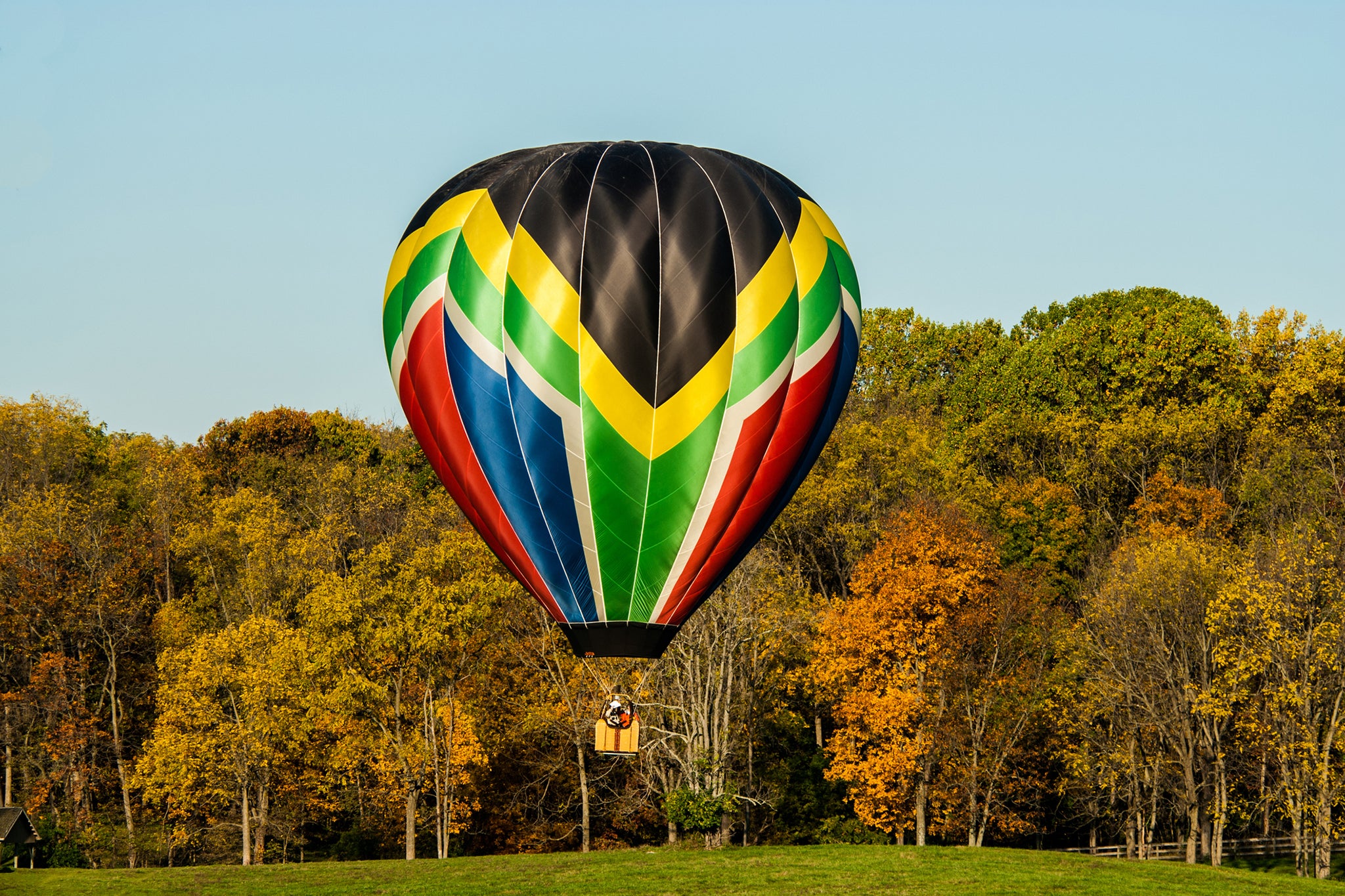 The hot air balloon (stock picture) company says that it remained above the treeline and did not damage the trees