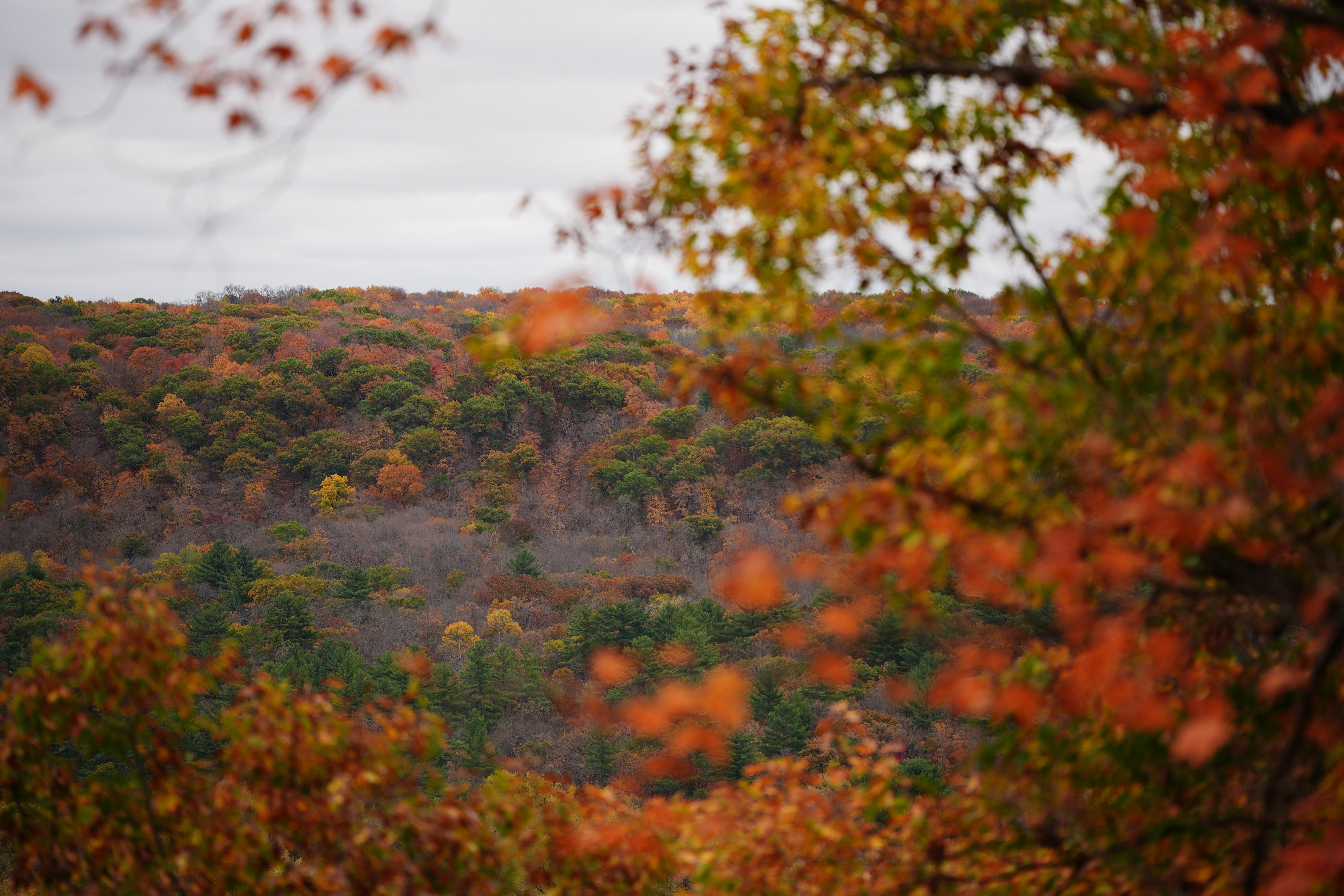 A hiking trail overlooks autumn colors, Tuesday, Oct. 13, 2026, at Interstate State Park in Taylors Falls, Minn.